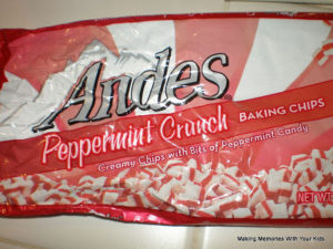 andes-bag